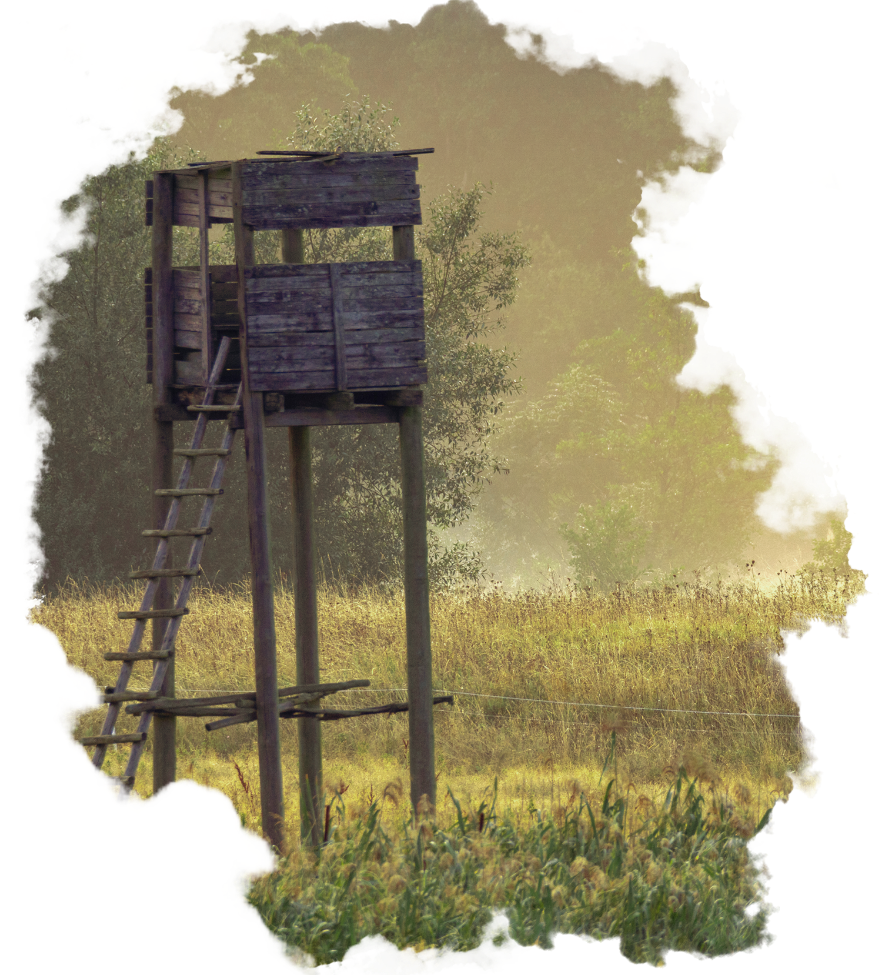 Hochsitz