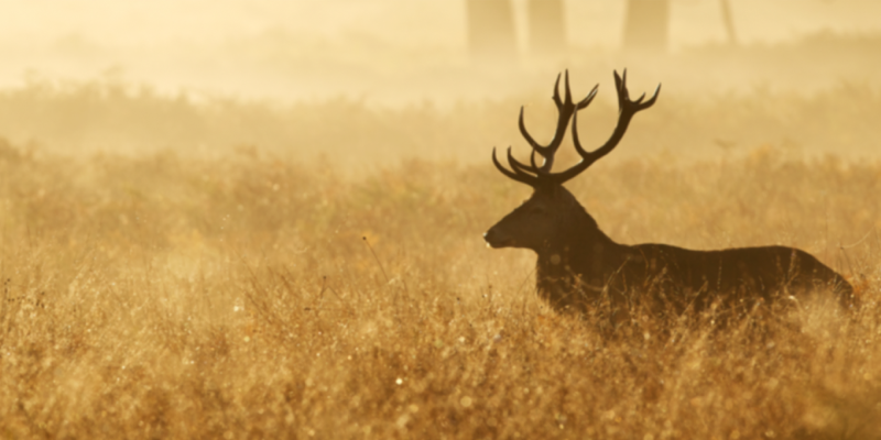 Nuevo sitio web en línea